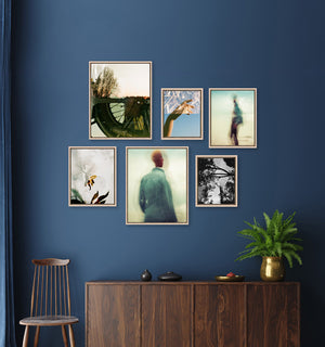 Frameology-Gallery-Wall-Set-Organic-Six-HD-Framed-Canvas-Natural-Collection.jpg