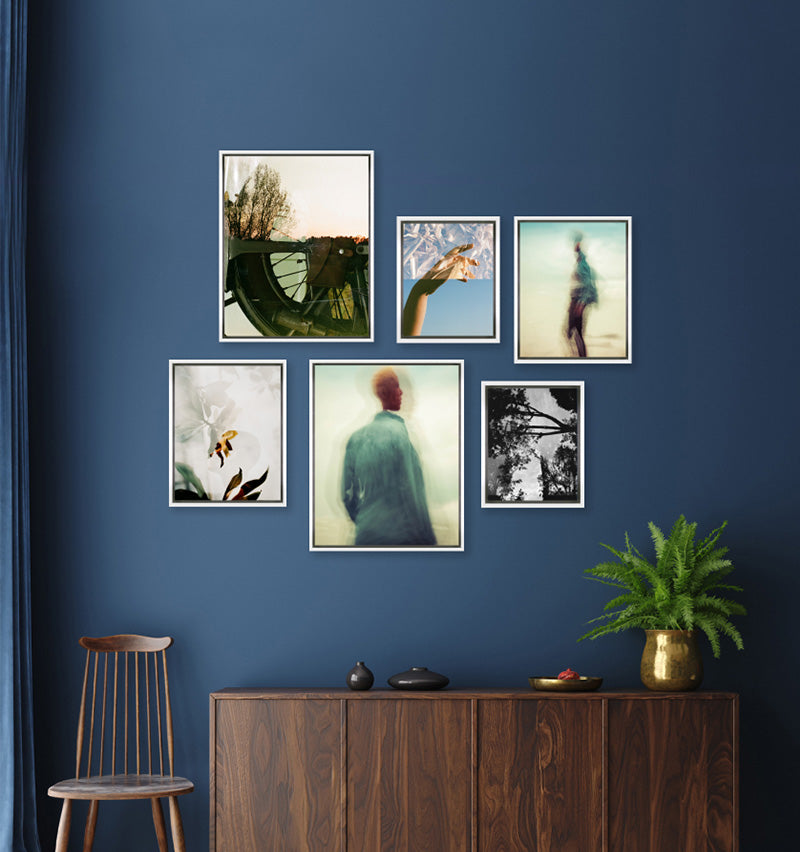 Organic Six Canvas - White Framed Photo Gallery Wall