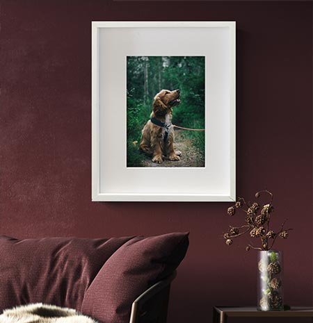Matted picture frames