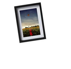 Frame A Photo Online, Starting At $19