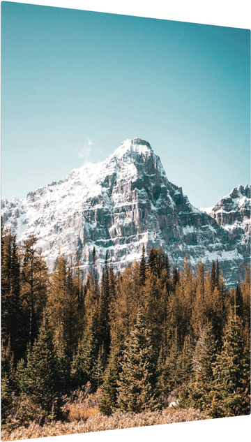 HD Metal Print