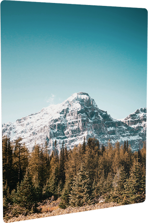 HD metal print