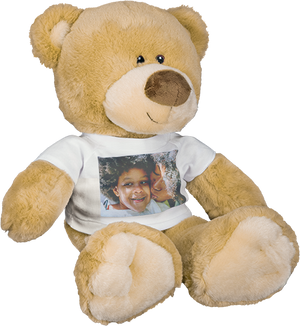 Teddy bear