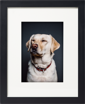 Classic wall - black (regular mat)