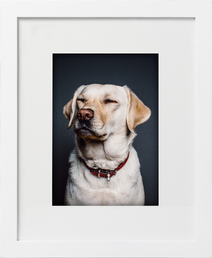Classic wall - white (regular mat)
