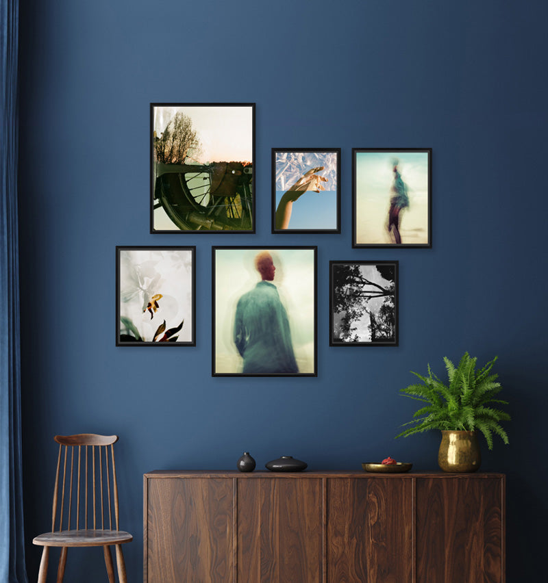 Frameology-Gallery-Wall-Set-Organic-Six-HD-Framed-Canvas-Black-Collection.jpg