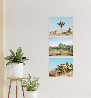 Single file - Metal prints